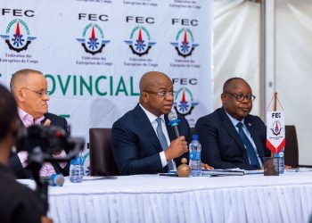 Patrick Muland Kabey réélu Président du Conseil Provincial, FEC Haut-Katanga