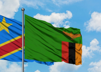 Rencontrez les Entrepreneurs Zambiens à Lubumbashi